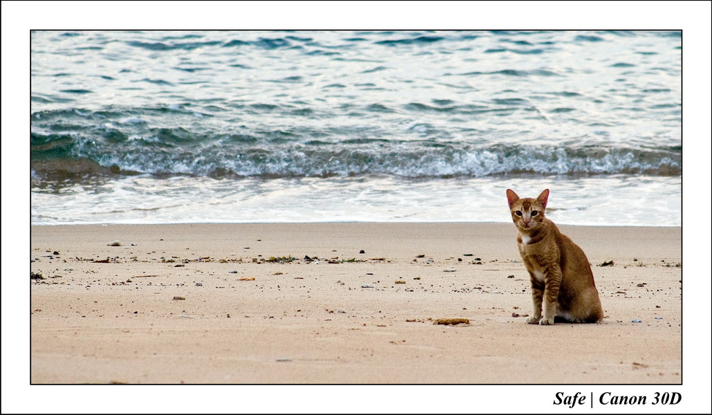 2006 - 07 - Tioman - Paya beach 26
